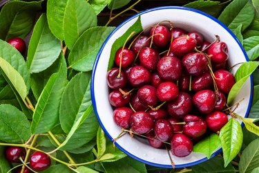 overhead view of ripe red cherries in a white bowl