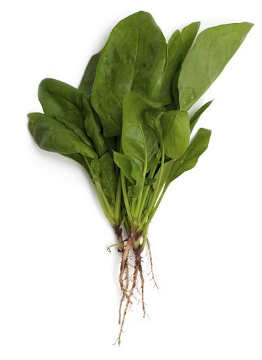 spinach isolated on white background