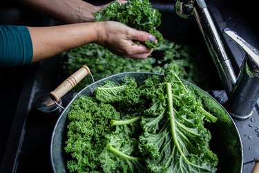 Washing kale leaves with water in the kitchen sink top view on windows light