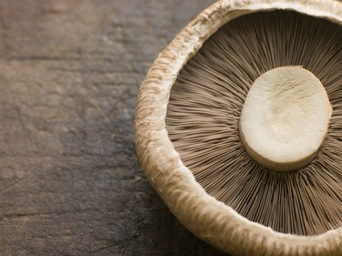 Portobello mushroom