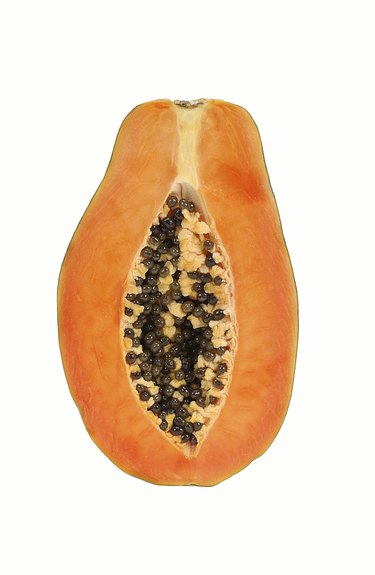 Papaya