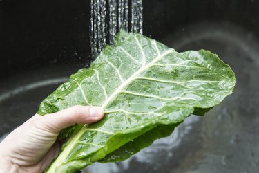 Washing your greens