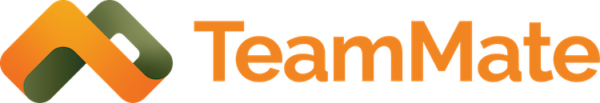 logo TeamMate Technology
